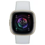 Fitbit Sense 2 Smart Watch - Blue Mist/ Soft Gold115/3695