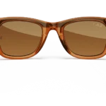 Ray-Ban Meta Glass Wayfarer - Shiny Caramel Transparent Brown