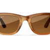 Ray-Ban Meta Glass Wayfarer - Shiny Caramel Transparent Brown