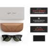 Ray-Ban Meta Glass Skyler - Shiny Black Green Polarized