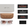 Ray-Ban Meta Glass Skyler - Shiny Chalky Gray Gradient Cinnamon Pink